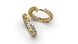 Red Gold Diamond Earrings 35032421